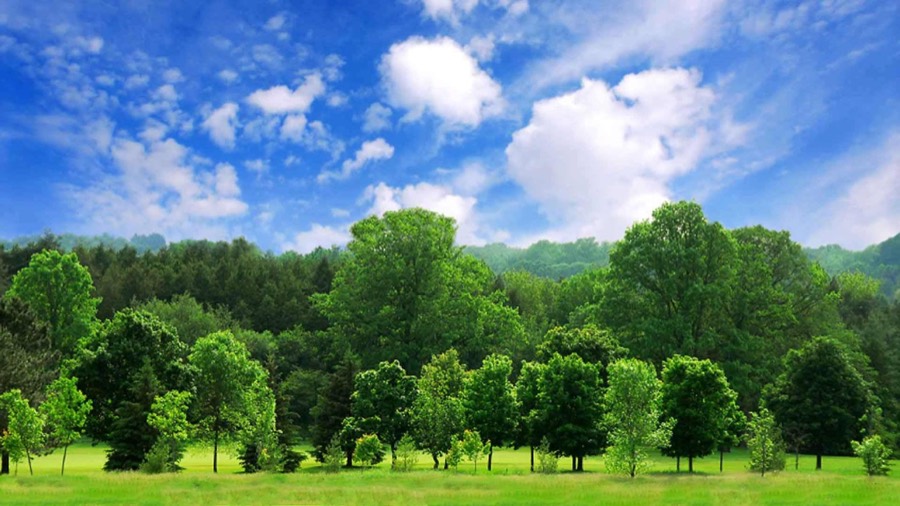 Green landscape under clear blue sky for Hamel Solar Window Film